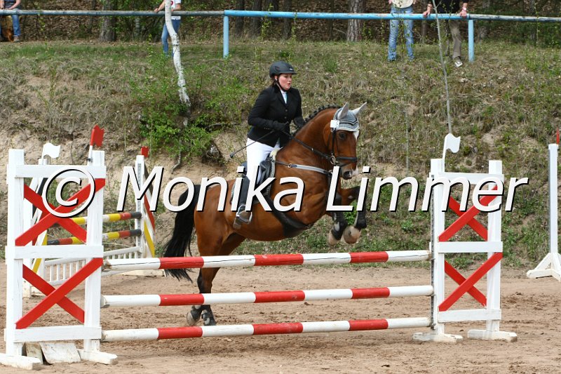 204M0314_Al Gambero_Spring_Ax.JPG